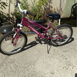 TERRA Girls Bike Size 20’ 