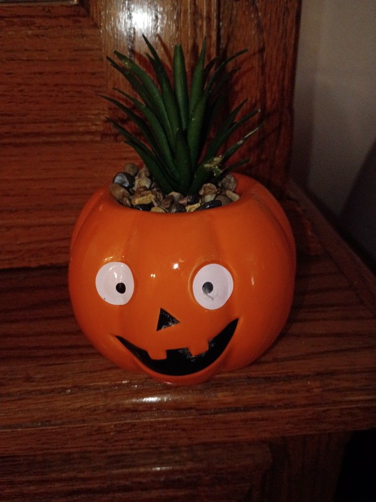 Jack-O-Lantern W Fake Plant
