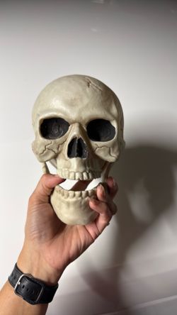 Box of skeleton bones