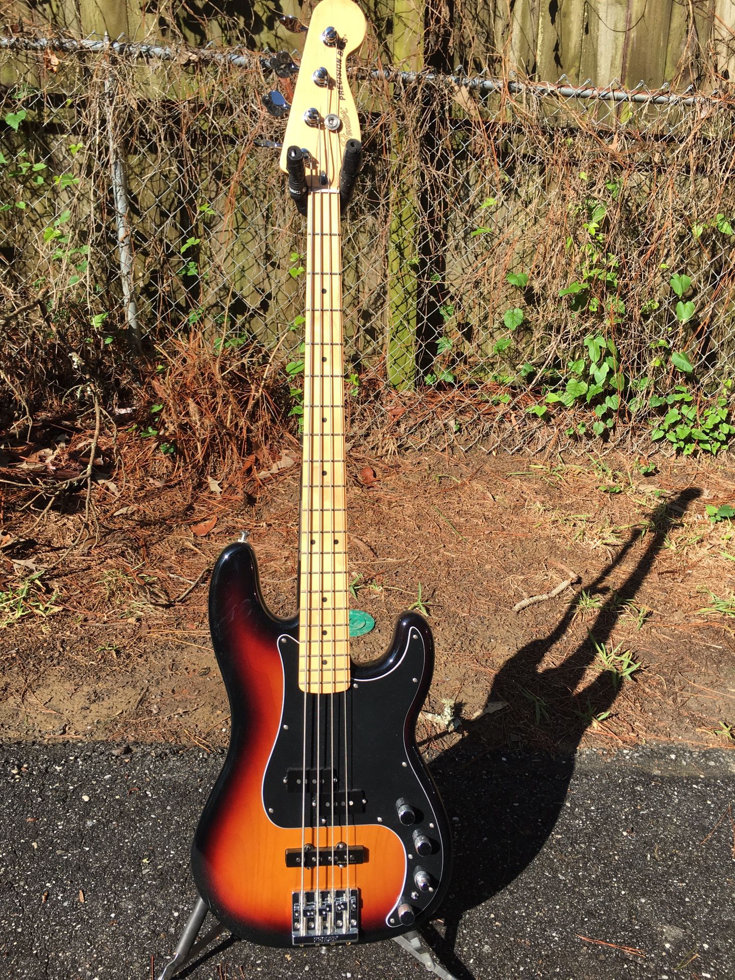 Fender P Bass Special