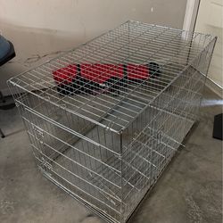 XXL Dog crate