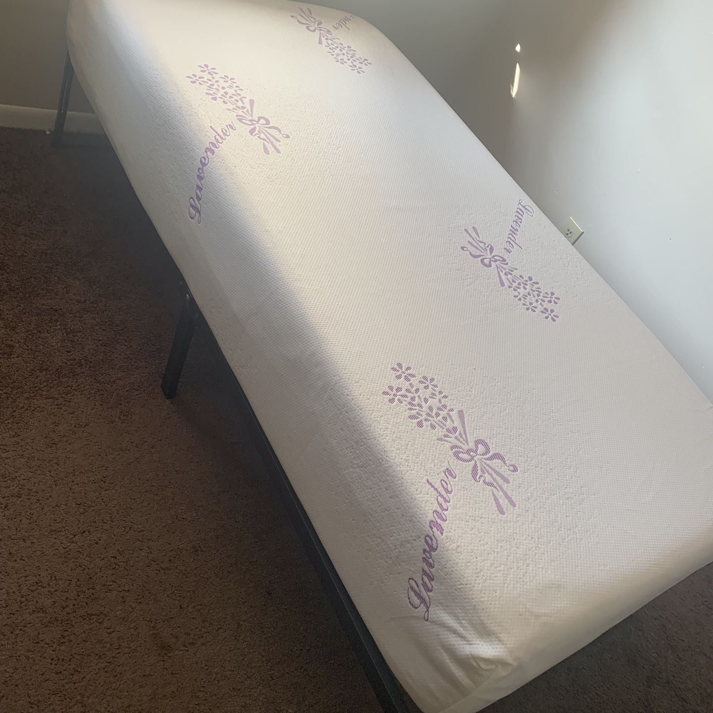 Twin Mattress and Frame (Great Condition)