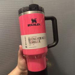 Neon Stanley 40oz Cups 