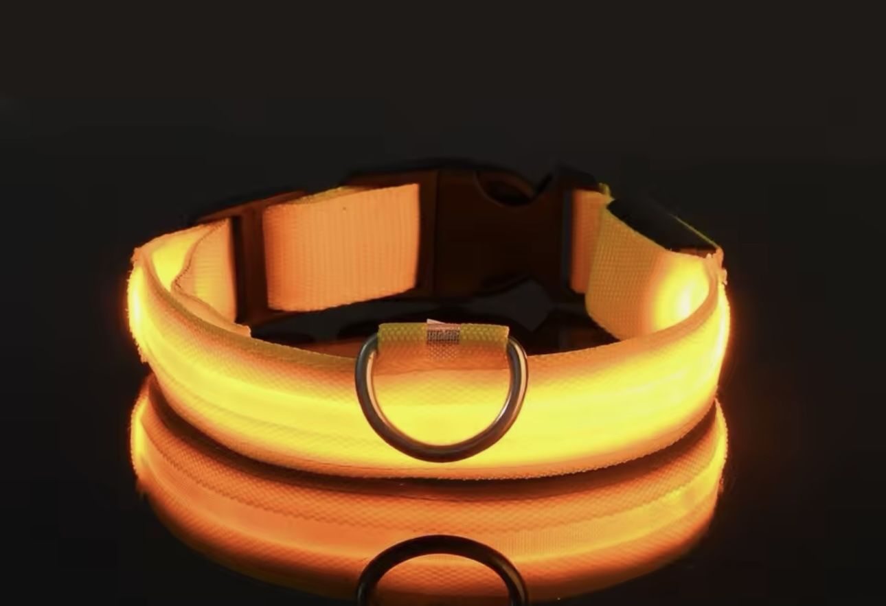 High-Visibility LED Dog Collar – Stay Safe at Night