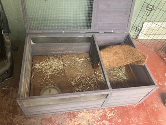 Enclosure for small rodent or reptile