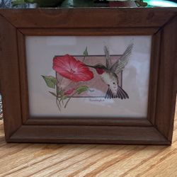 Beautiful!!! Picture Of A Hummingbird!!!’