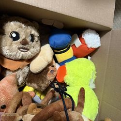 Assorted stuffed animals