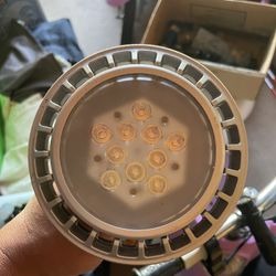 LED Lights