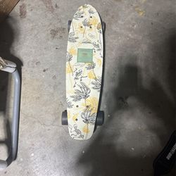 Penny Board Skate Board