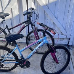 Women’s And Girls Mountain Bikes 