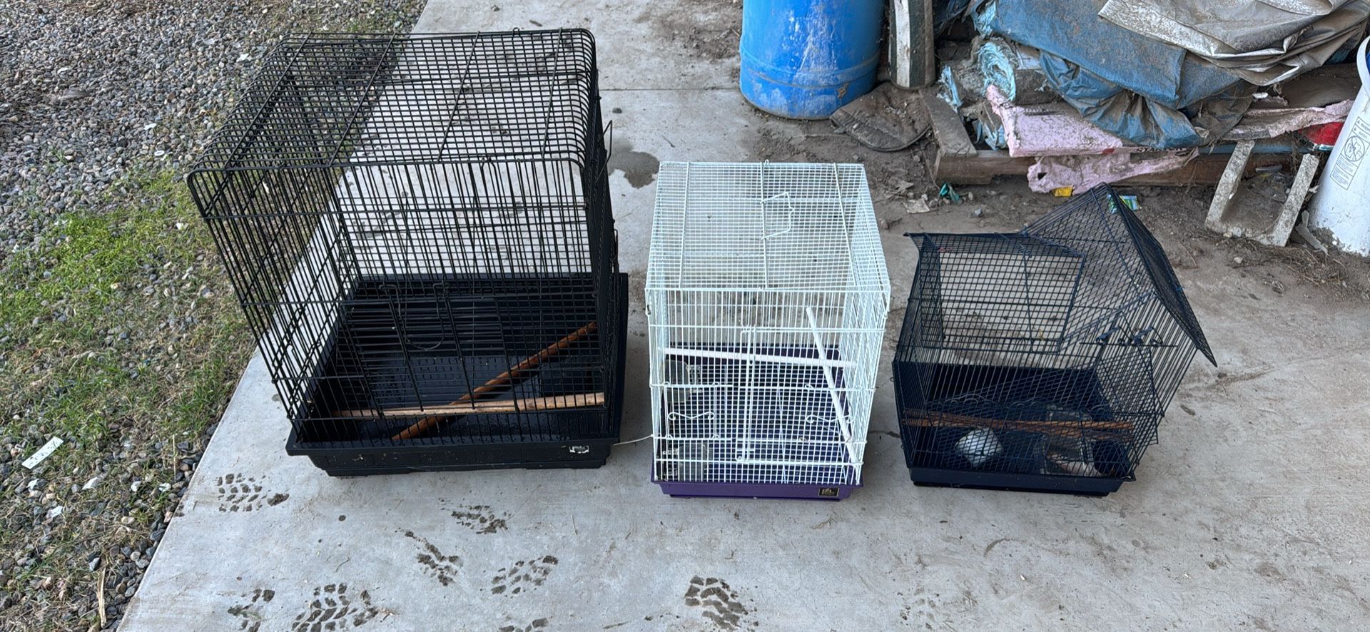 Bird Cages