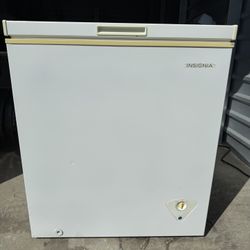 Insignia Chest Freezer – Perfect for Extra Storage!