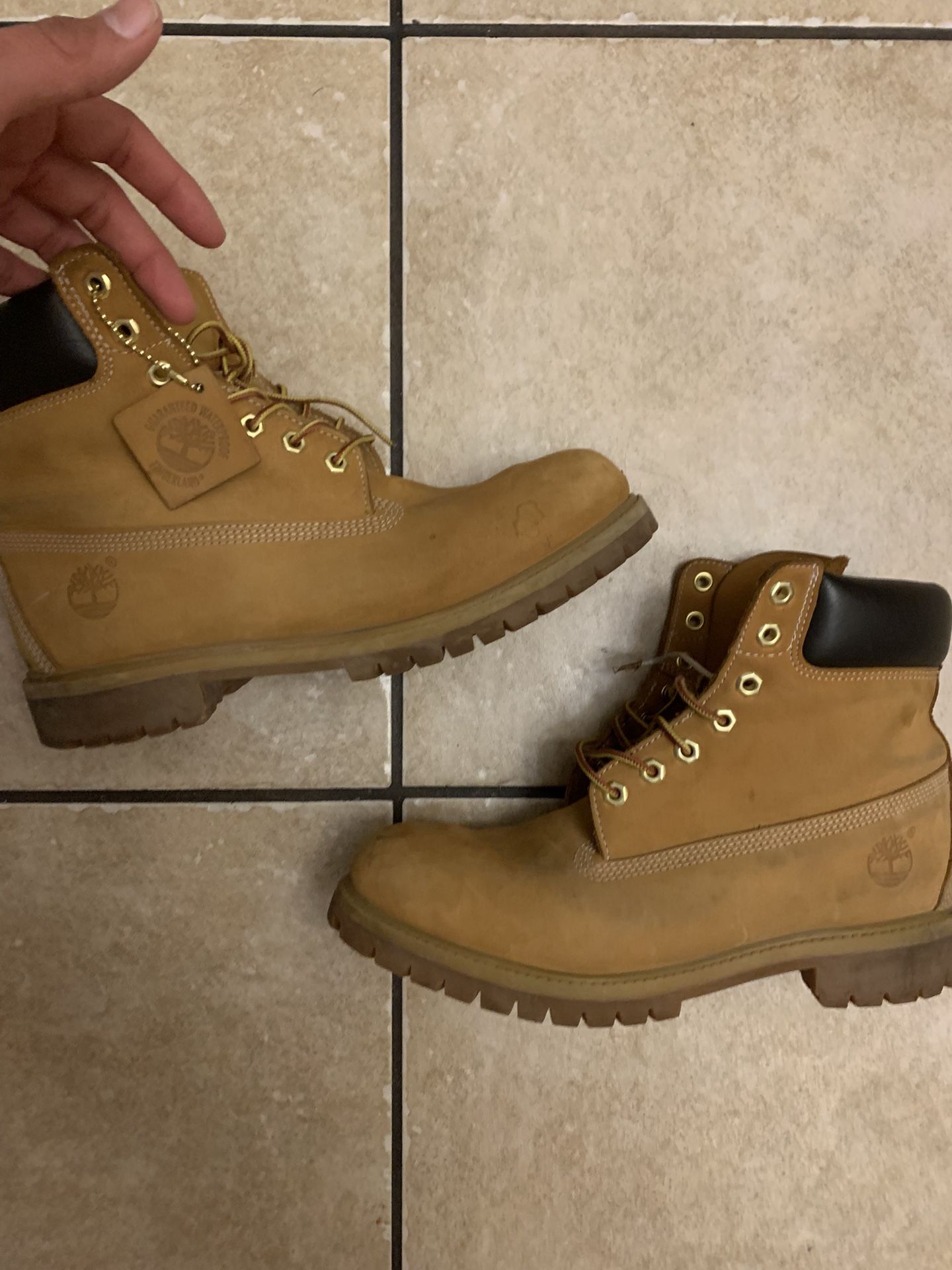 Timberlands Boots Size 12