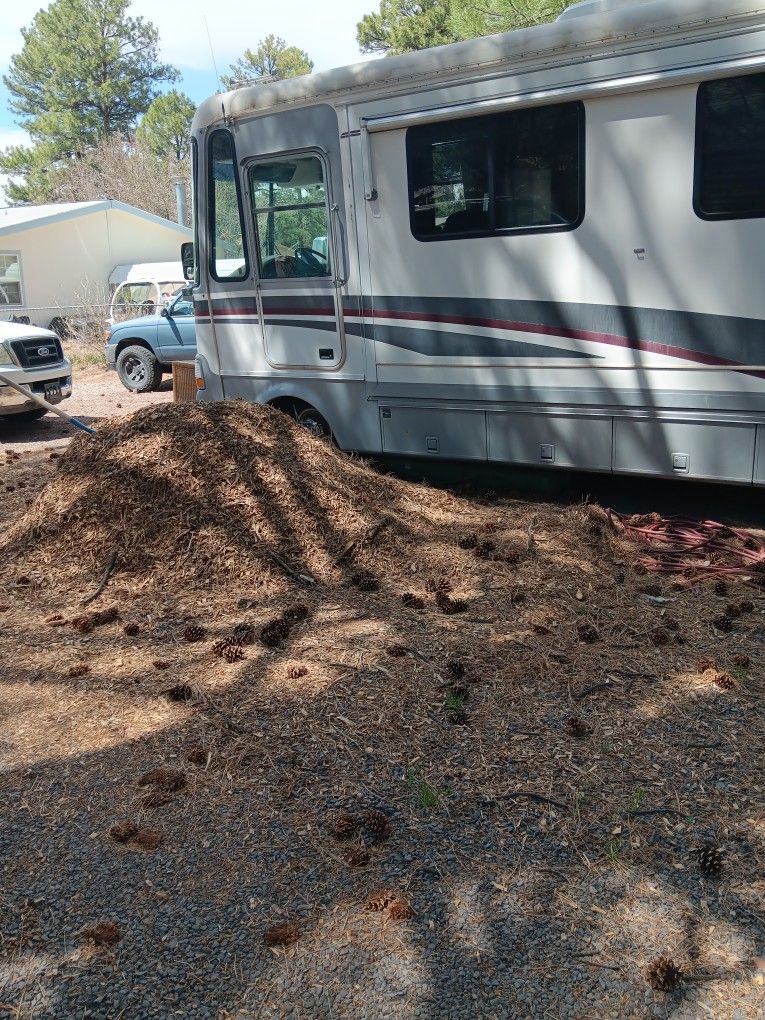 1997 Motorhome