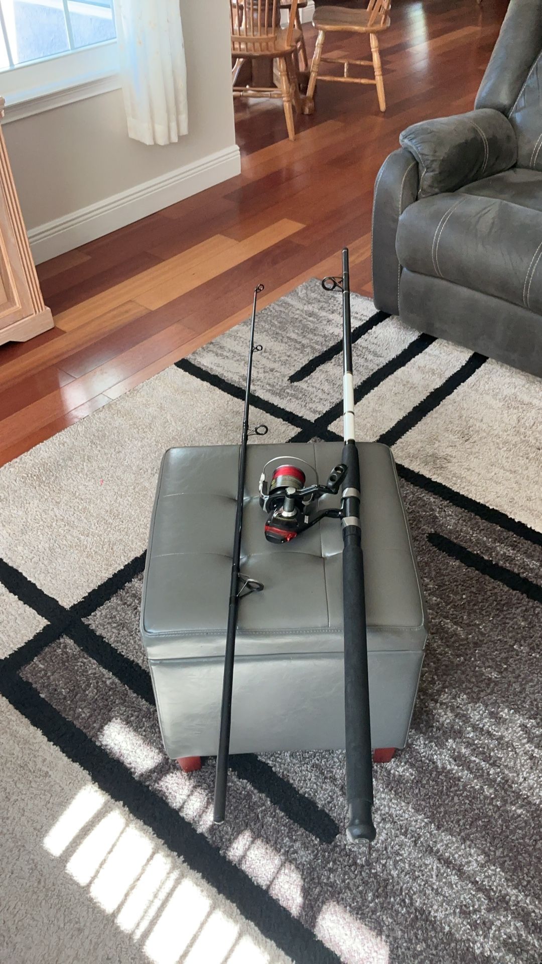 9 ft. Daiwa Surf Rod,and Large Zebco Hawgseeker Spinning Reel for Saltwater Fishing.