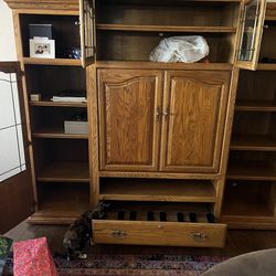 Entertainment center