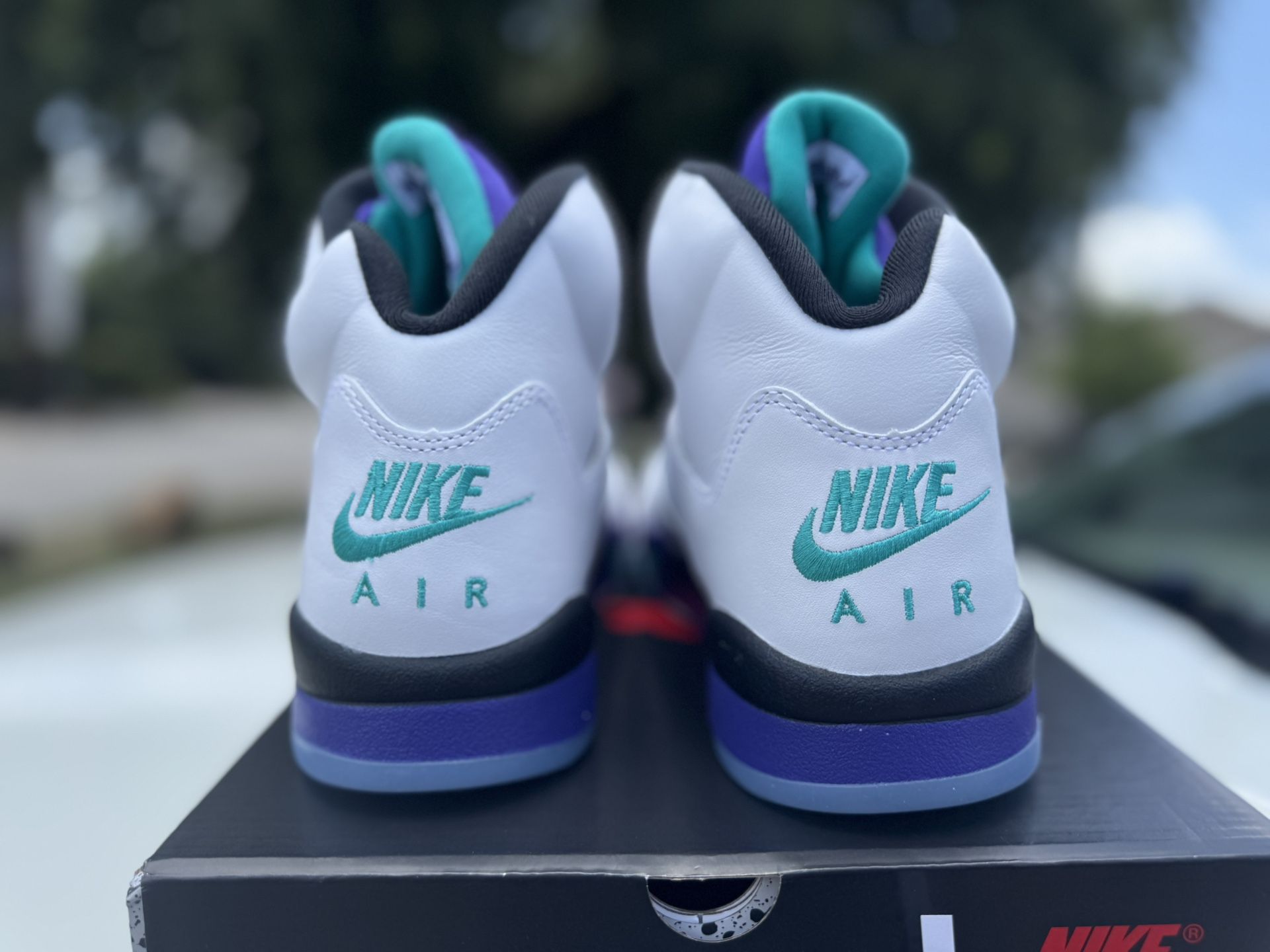 Air Jordan 5 Retro “Grape” 2025 (Size 12.5)