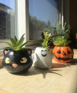 Halloween Succulent Pots