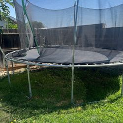 Trampoline 