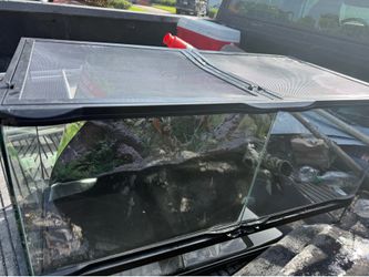 Reptile tank brand new with light
