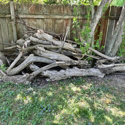 Free Firewood