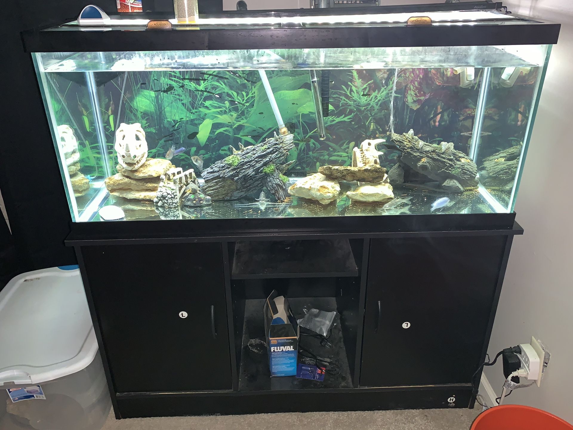Fish tank and filter