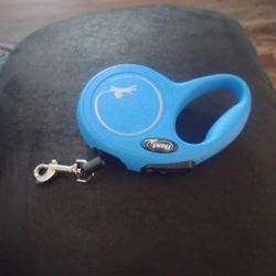 Dog Leash