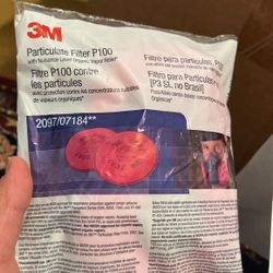 Particulate Filter P100