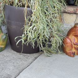 Two Frog Shape Ceramic Pots