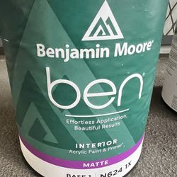 Benjamin Moore Paint - Saint Martin Sand