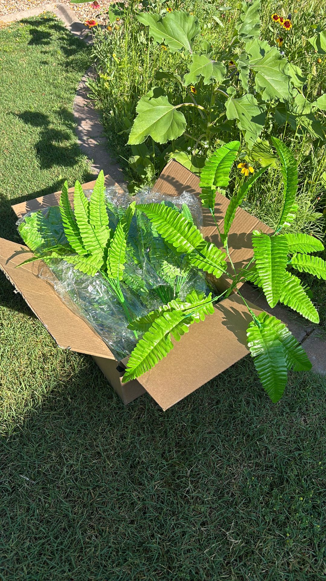 Fern Stems - Brand New In Package - Lot Of 40