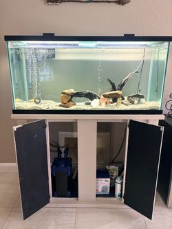 Large Glass Aquarium Tank with Stand