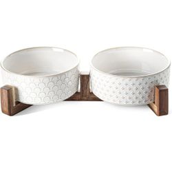 Dog Bowls 