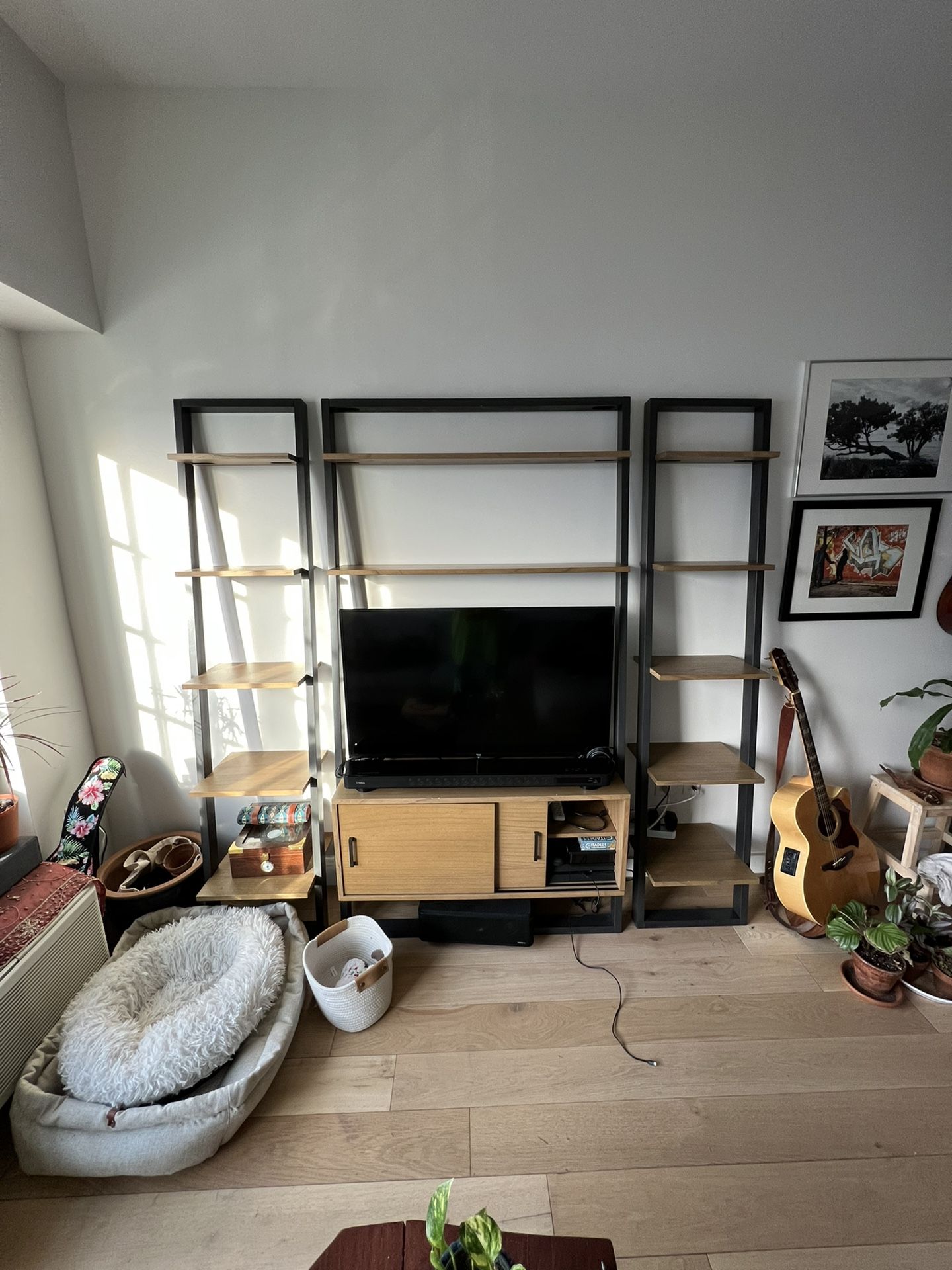 West Elm Ladder Shelves