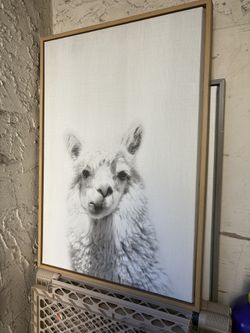 Llama Canva