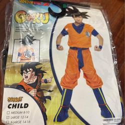 Goku Costume For Teens 