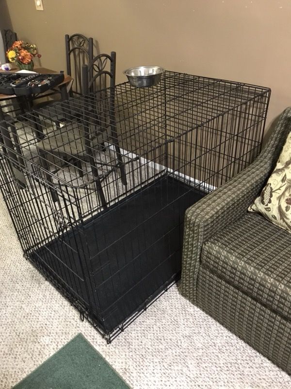 XL dog folding crate