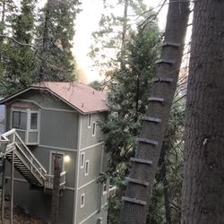 Roofing,  Flat ROOFS TECHOS