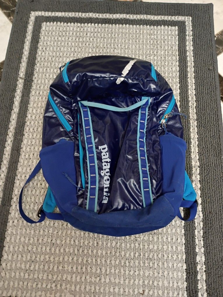 Patagonia Black Hole Pack 32L Backpack Black Water-Resistant TPU Travel Bag  