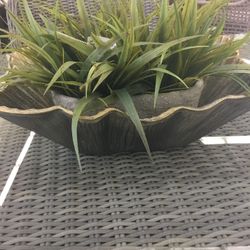 Pot Of Plants