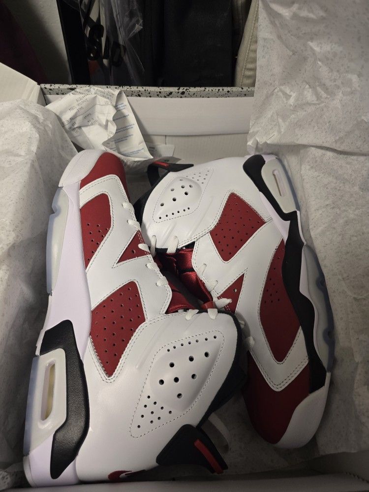Jordan 6 Retro Carmine (2021)