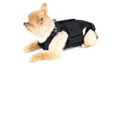 NEW AOC Pet Back Brace for Small Pup (Chronic Pain, Spinal Support, Spondylosis)