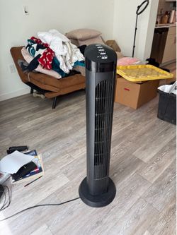 Fan