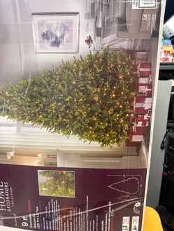 Christmas tree for sale
