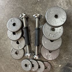 Dumbbells Weights 