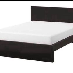IKEA Size Full MALM Bed Frame. See Comments $180