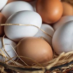 Farm Raised Eggs 