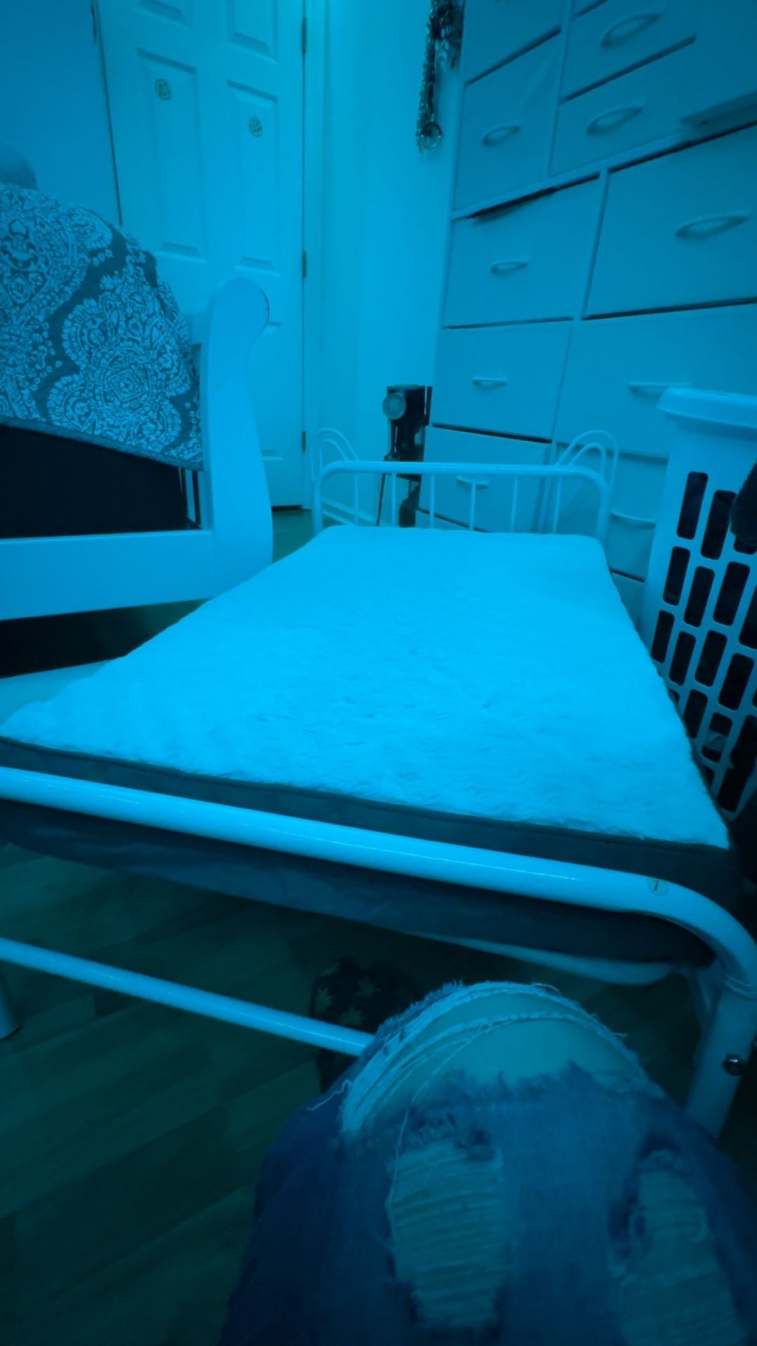 Kid Style Dog Bed