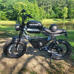 High Voltage &  Wattage Moped Style E-Bikes