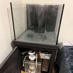 50 Gallon Reef Tank. W/ Sump, Skimmer And Refugium!